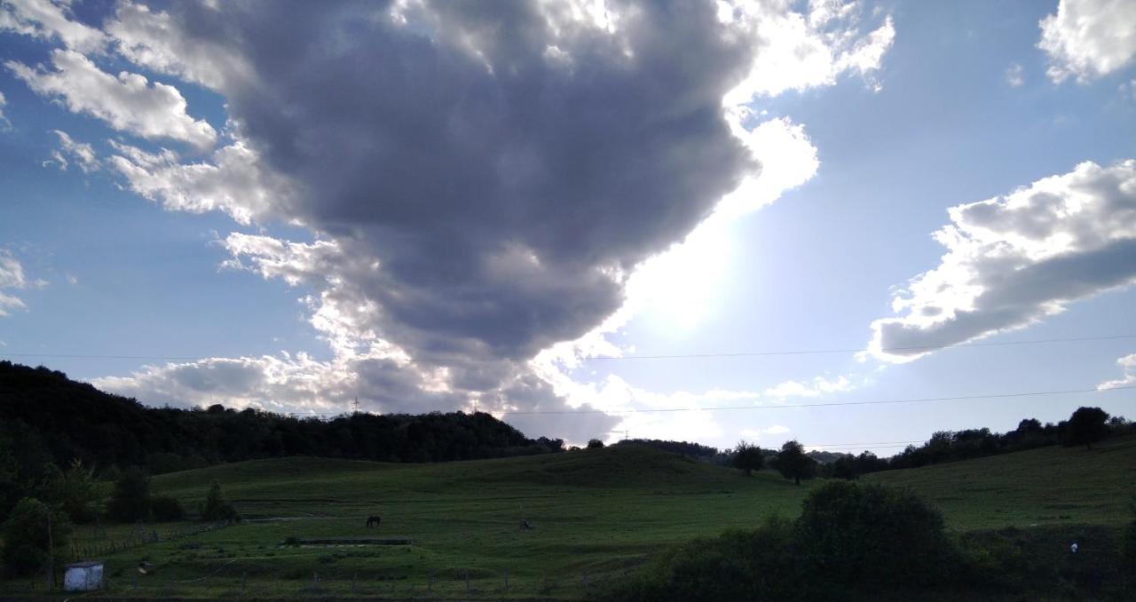 La Livada Valea Danului Exterior foto