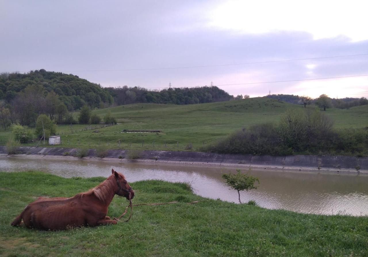 La Livada Valea Danului Exterior foto